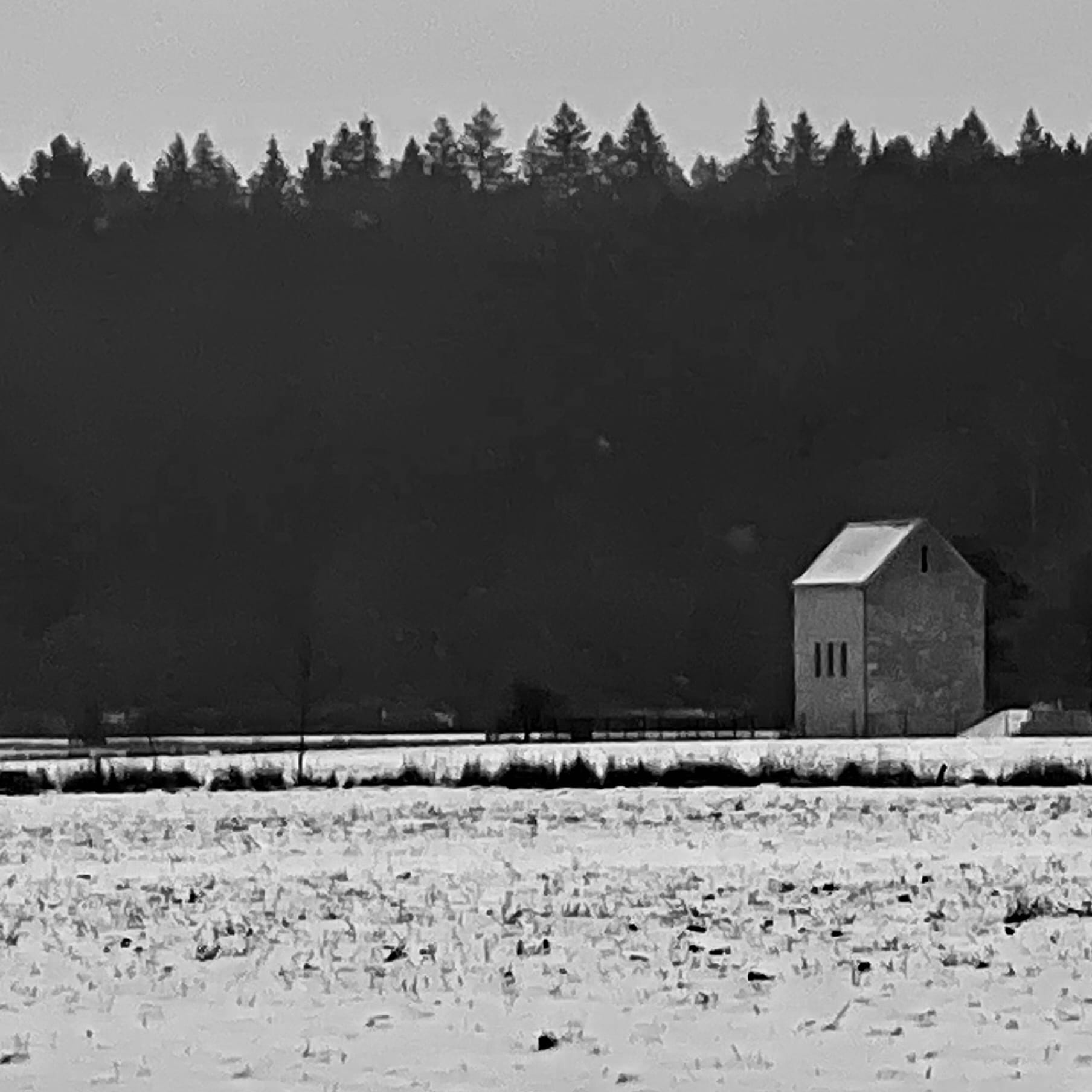 Ein einsames Haus, in Mitten der Dunkelheit, auf einem weißen Feld, im Hintergrund der Wald