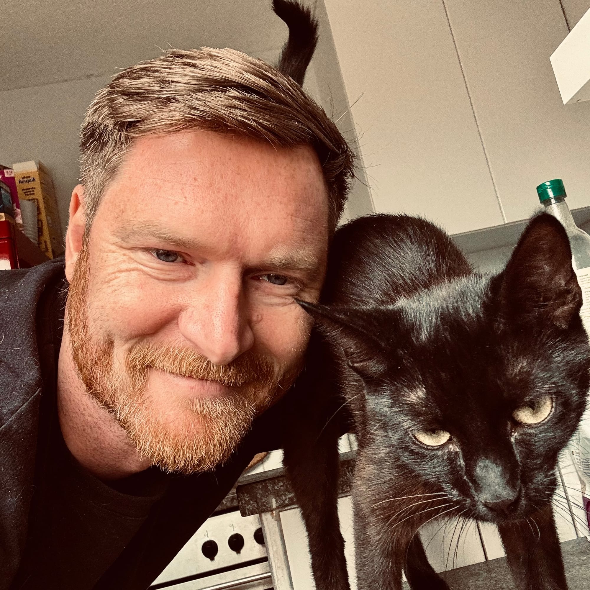 Die schwarze Katze Lakritz und der Autor Herr Montag