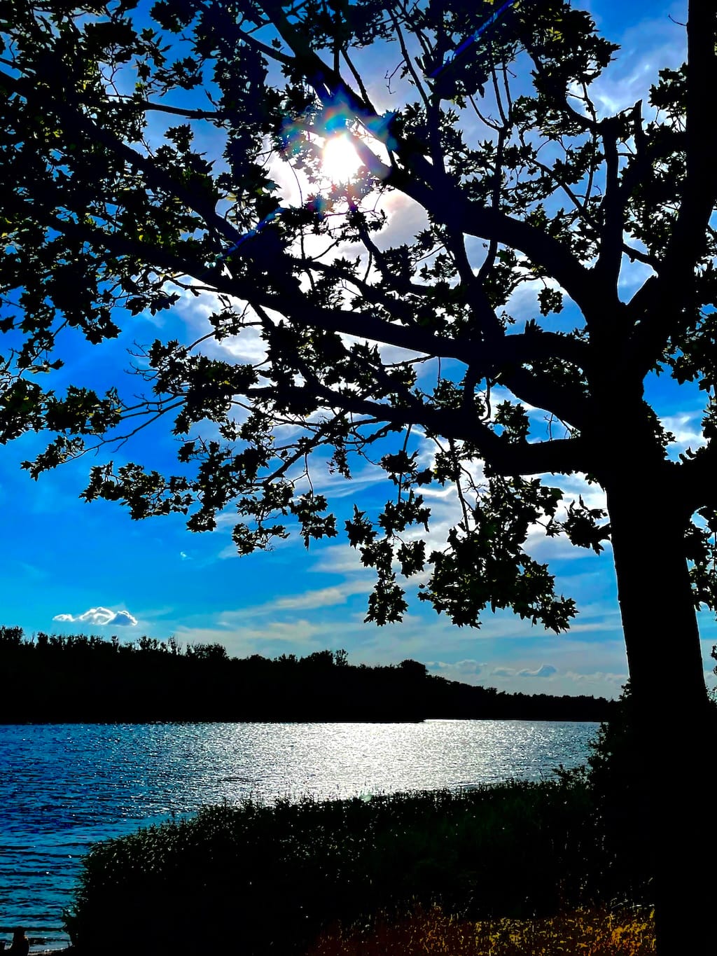 Kulkwitzer See