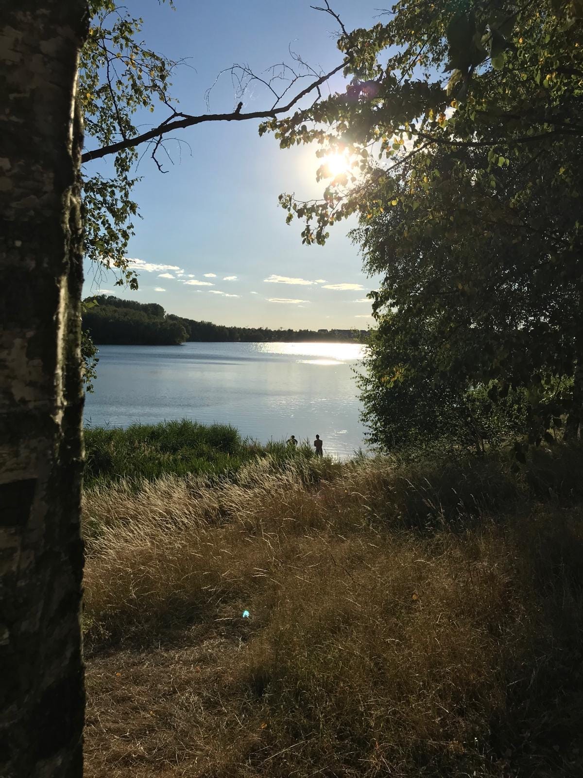 Der Blick auf einen See