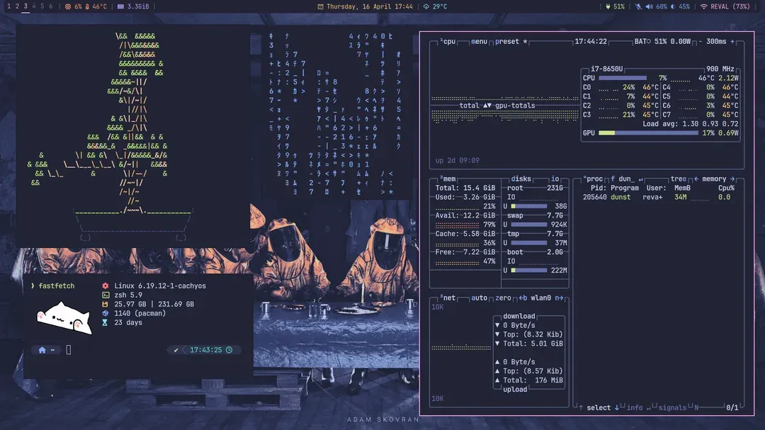 Niri + Dank Material Shell and some Terminals