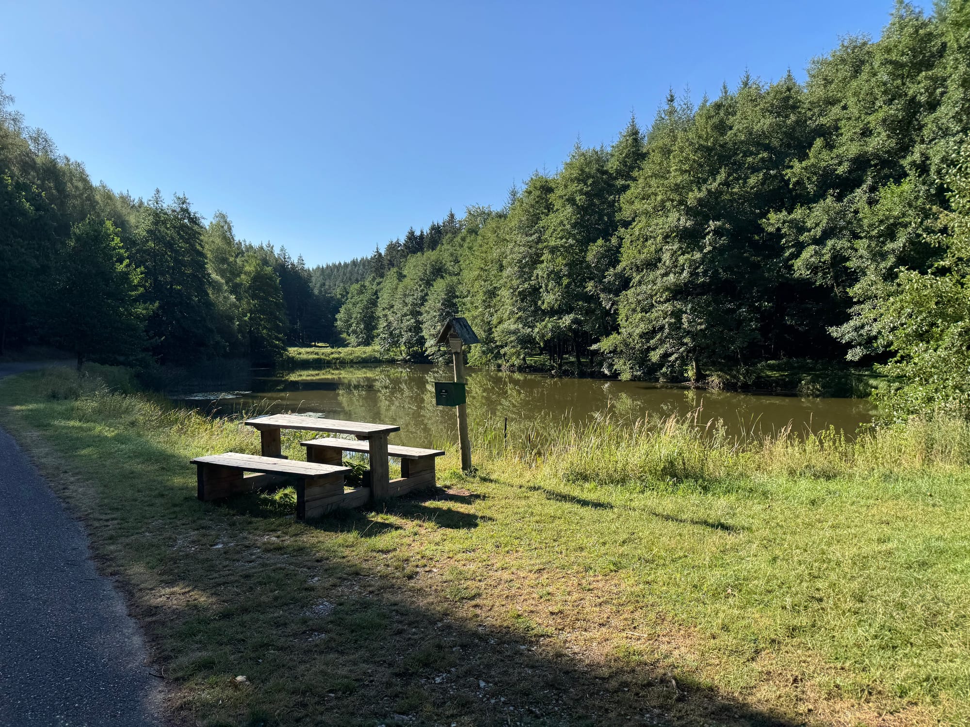 EIn kleiner Thüringer Waldsee
