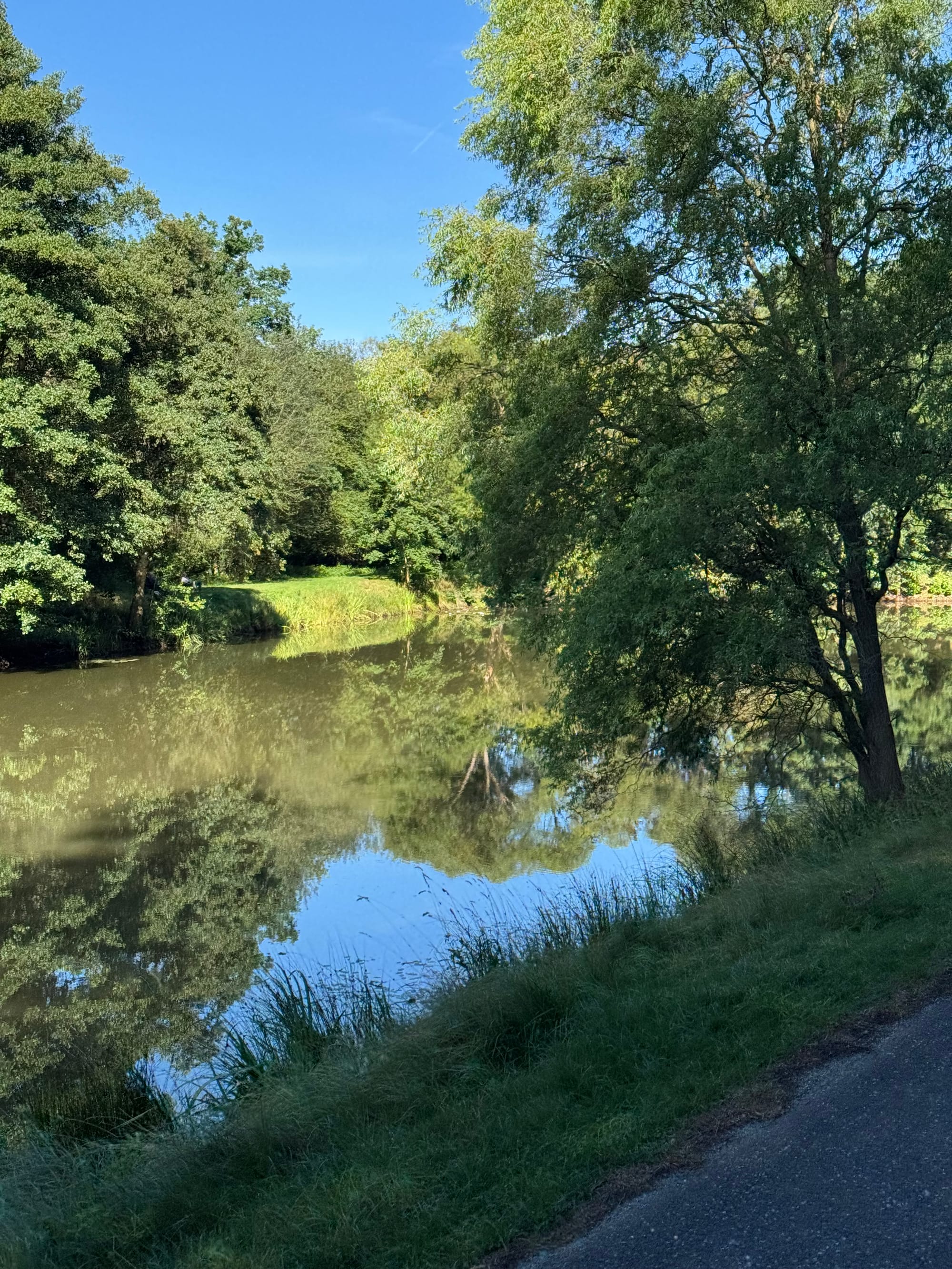 EIn kleiner Thüringer Waldsee