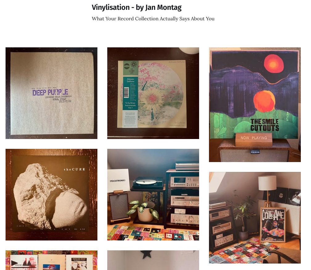 Screenshot meiner Website vinylisation.de