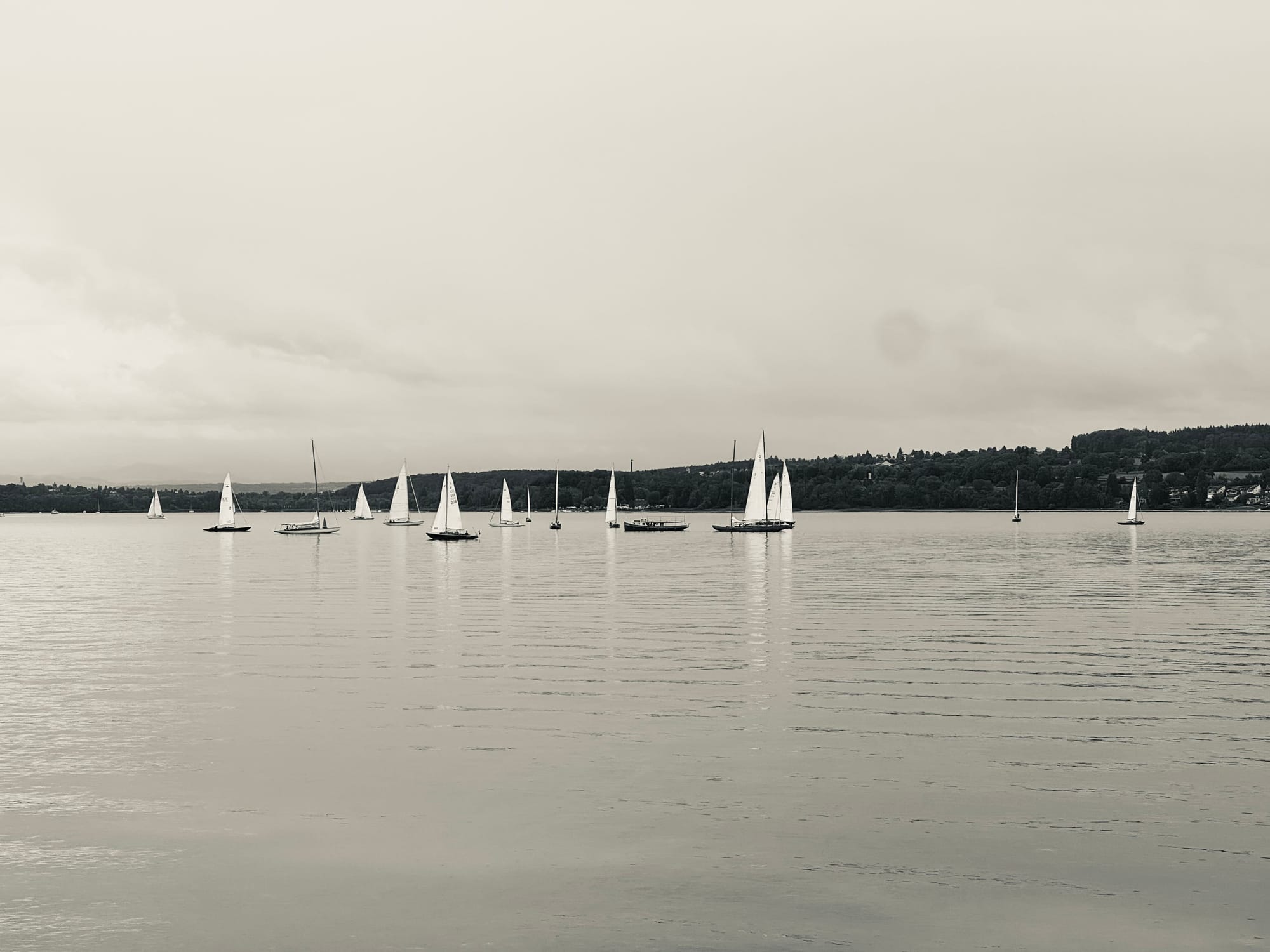 Segelboote schwimmen auf dem Wasser, im Hintergrund sieht man das Ufer. Das Foto ist schwarz-weiß