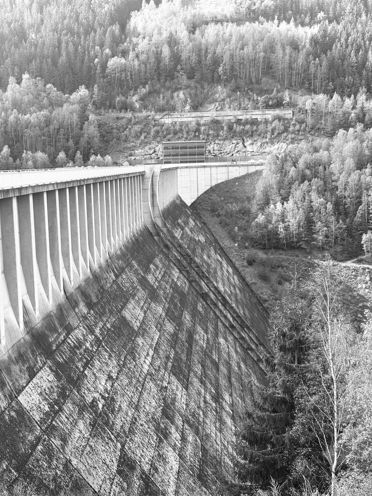 Talsperre Leibis-LichteTalsperre Leibis-Lichte - Staumauer