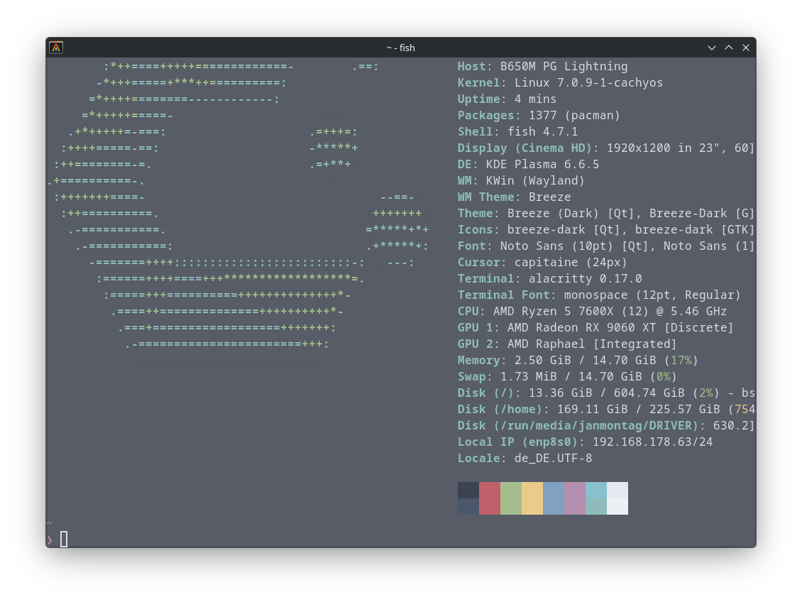 alacritty_neofetch