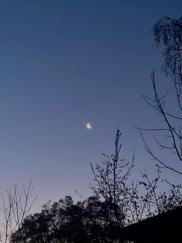 Der Mond an einem Morgen im Dezember, es ist eine Sichel, und der Himmel ist blau.