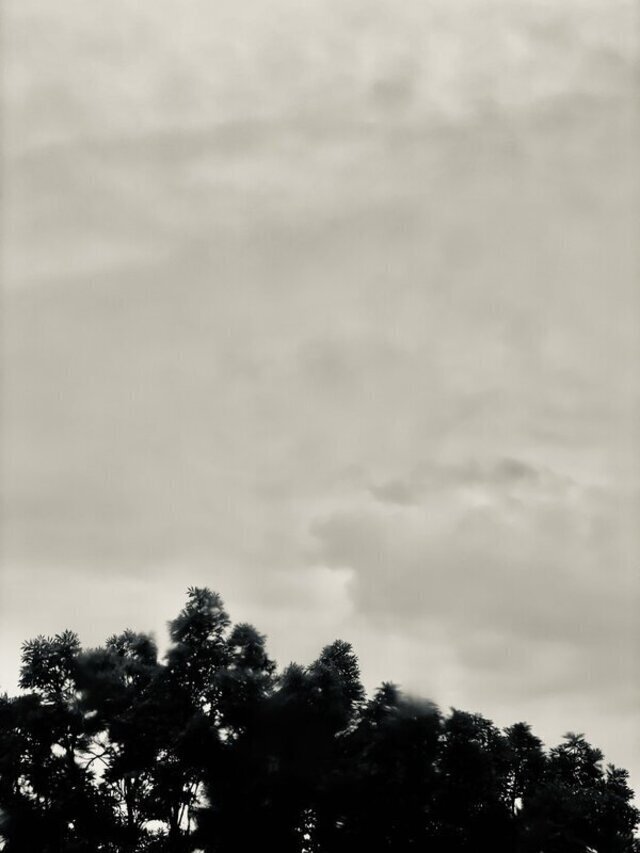 Ein grauer Himmel, unten sind Baumspitzen zu sehen, alles ist grau, regnerisch und verschwommen.