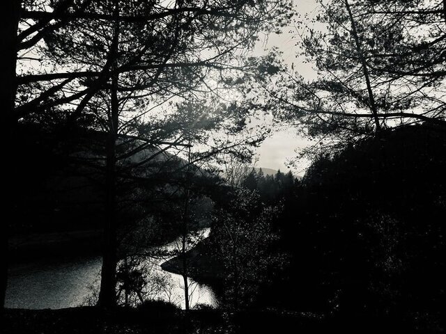 Ein düsteres Bild von einem Wald, im Hintergrund sieht man einen Fluss. Das Foto ist schwarz-weiß.