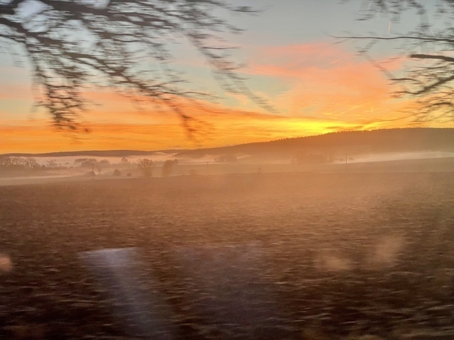 Der Sonnenaufgang auf dem Lande, der Himmel ist rot. Zweige hängen ins Bild.
