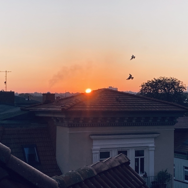 Die Sonne geht auf über der Stadt, man sieht sie gerade zu dreiviertel über dem Horizont. Weiterhin sind die Giebel von Gründerzeithäusern zu sehen und zwei Vögel fliegen durch das Bild.
