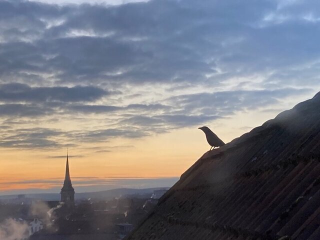 Ein Rabe sitzt auf einem Dachgiebel, die Sonne geht unter und im Hintergrund kann man eine Kirchturmspitze sehen. Rauch steigt auf,