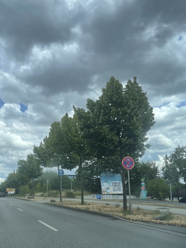 Bäume säumen die Straße, dunkle Wolken am Himmel