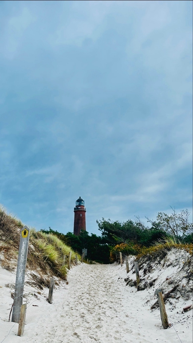 Der Weg durch das Schilf durch den Sand hin zum Leuchtturm.